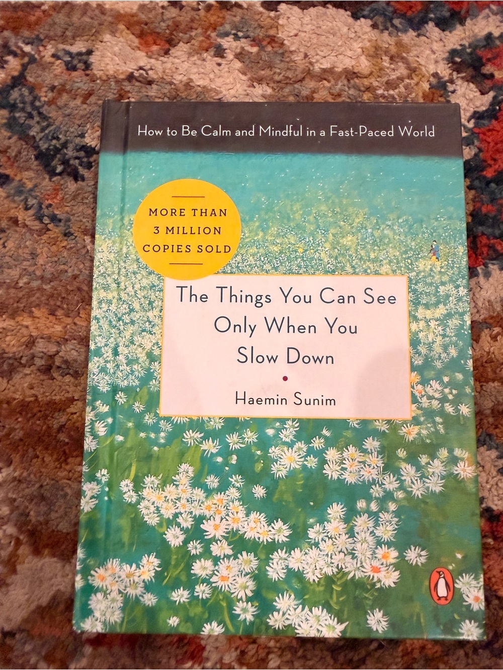 The Things You Can See Only When You Slow Down Book